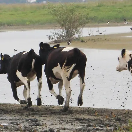 Hotell 't Wapen Marion