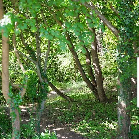 't Wapen Marion Hotel