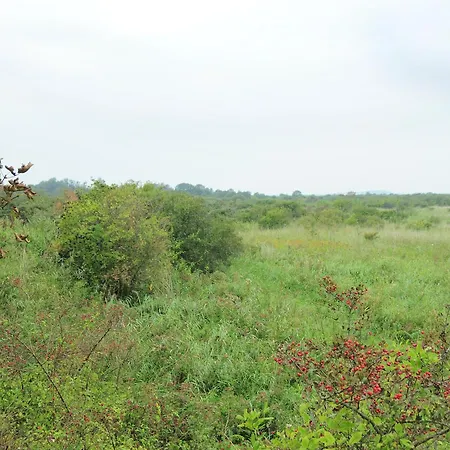 't Wapen Marion Oostvoorne