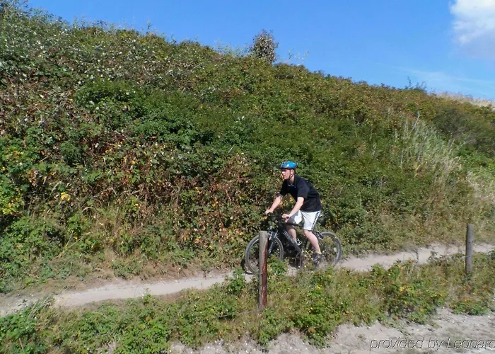 't Wapen Marion 4* Oostvoorne